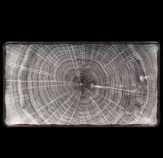 RAK Woodart talíř obdélný 33,5 × 18,1 cm – šedá | RAK-WDEDRG33BG