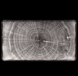 RAK Woodart tanier obdĺžny 33,5 × 18,1 cm – šedá | RAK-WDEDRG33BG