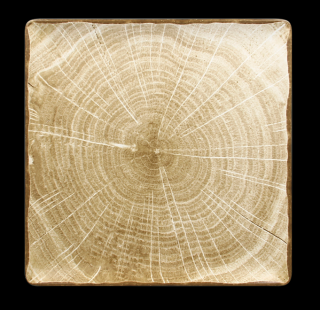 RAK Woodart tanier štvorcový 30 × 30 cm – machovo zelená | RAK-WDEDSQ30MG