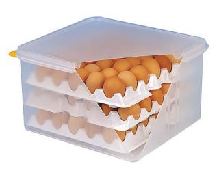Tomgast | Box na vejce, 120 ks vajec (Plastová přepravka na vejce, 120 ks vajec)