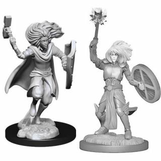 Dungeons &amp; Dragons Nolzur's Marvelous Miniatures - Changeling Cleric 2-Pack, 4 cm