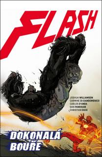 Flash 07: Dokonalá bouře