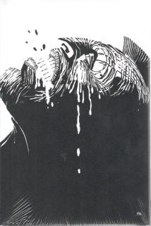 Sin City 01: Drsný sbohem  [Miller Frank]