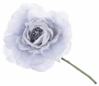 Pivónia, modro-sivá, stonka, veľkosť kvetu: 16 cm, dĺžka kvetu: 24 cm, bal. 6 ks