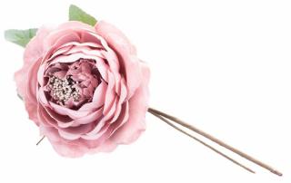 Rruža rozvitá, ružová, stonka, veľkosť kvetu: 11 cm bal. 6 ks