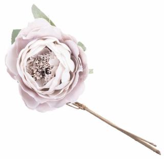 Ruža rozvitá, fialová, stonka, veľkosť kvetu: 11 cm, bal. 6 ks