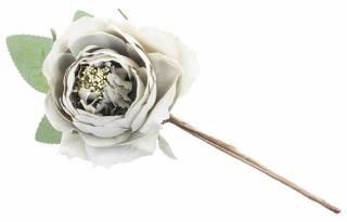 Ruža rozvitá, zelená, stonka, veľkosť kvetu: 11 cm, bal. 6 ks