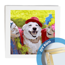 Venus Puzzle Maľovanie podľa čísel 50x50 - DIY RÁM