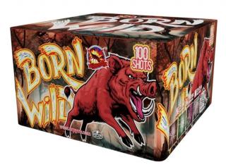 Ohňostroj Born Wild 100rán 25mm