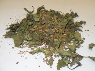 Horká tráva (Calea Zacatechichi) 25g (sušené listy)