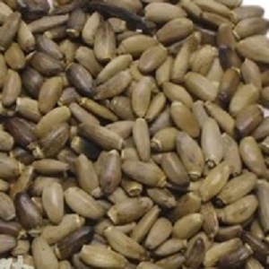 Pestrec Mariánsky (Silybum marianum) 100g (plod rastliny, semená)