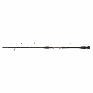 Penn Legion Cat Gold Clonk 2,1 m 100-250 g