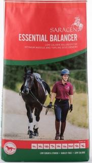 Essential Balancer