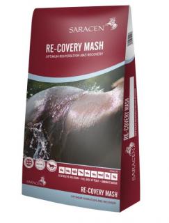 RE-COVERY MASH