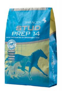 Stud Prep 14