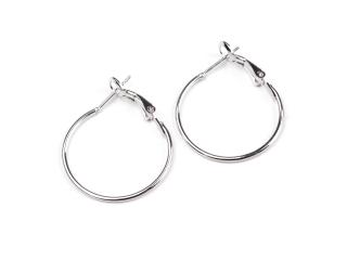 Náušnicové kruhy pr. 30mm, platina (Náušnicové kruhy pr. 30mm, platina)