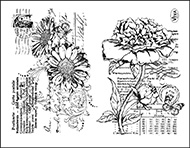 Silikónové razítko - gerbera a pivonka,14x18cm (Silikónové razítko - gerbera a pivonka,14x18cm)