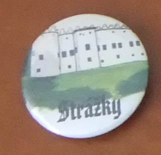 Button 37mm špendlík - Strážky