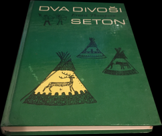 Dva divoši
