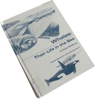 Whales: Their Life in the Sea