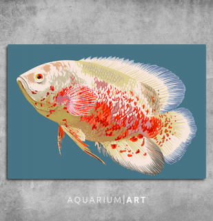 AQUARIUM ART obraz ocellatus 90 x 60 cm (P-013-90-60)