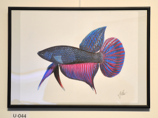 ORIGINÁL - AQUARIUM ART 42 x 30 cm (U044)