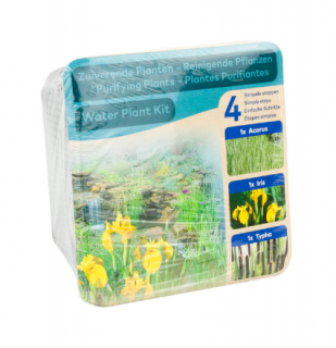 Set s plávajúcim kruhom (Pontederia, Acorus, Iris) - blister (Kompletná sada vodných rastlín do jazierka)
