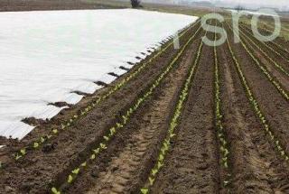 Netkaná geotextília zakrývacia biela 9,6x100m, (960m2)  19g/m2 (960m2)