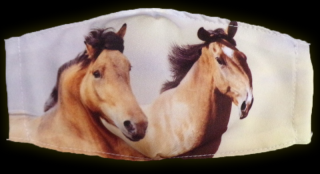 Rúško  Dva kone