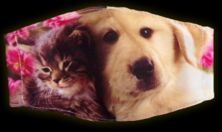 Rúško  Pes a mačka