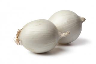 Biela cibuľa