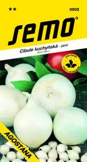 Cibuľa kuchyňská 'Agostava' biela 1 g