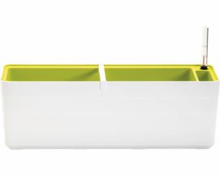 Hrantík samozavlažovací Berberis biela+zelená 60 cm