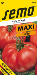 Paradajka tyčková - Jergus F1 45 s - séria MAXI