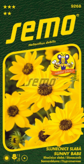 Slnečnica slabá - Sunny Babe (Piccolo) 1,2 g - séria NEKTAR PÁRTY