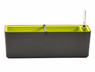Truhlík samozavlažovací Berberis antracit + zelená 60 cm