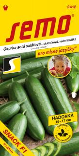 Uhorka siata šalátová 'Snack F1' 10 s