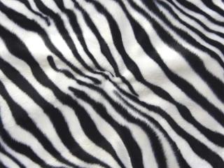 Kožušina bielo-čierna  zebra  - nízky vlas