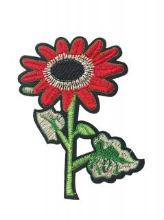 Nažehlovačka  červený kvet na stonke