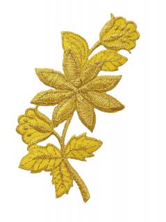Nažehlovačka žlto-zlatá  kvet
