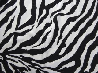 Plavkovina smotanovo-čierna  zebra