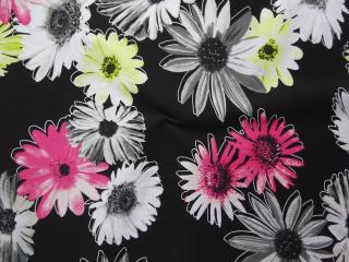 Riflovina čierna  farebné kvety