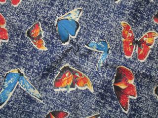 Riflovina maslovo-modrá  motýle