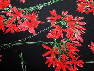 Satén Silk čierny  červené kvety