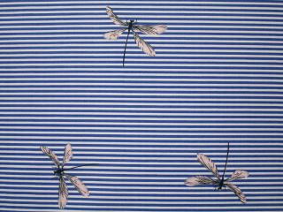 Šatovka bielo-modrá  vážka  zvyšok