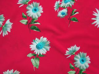 Šatovka červená  bielo-modrý kvet