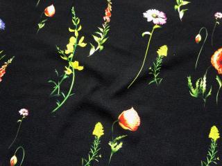 Šatovka čierna  lúčne kvety