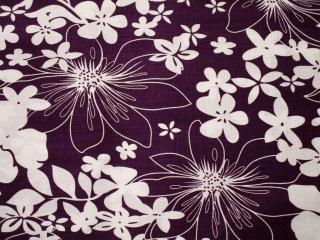 Šatovka fialová  biele kvety