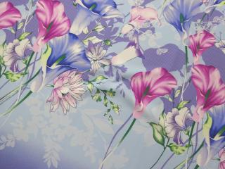Šatovka fialovo-modrá  kvety  - bordúra jednostranná