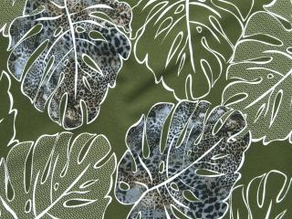Šatovka olivová  listy
